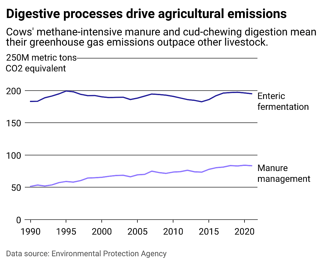 Multiline chart showing  US emissions from dairy cattle manure have risen along with swine. A large dairy industry and cows' methane-intensive manure mean dairy cattle greenhoues gas emissions outpace other livestock. 
