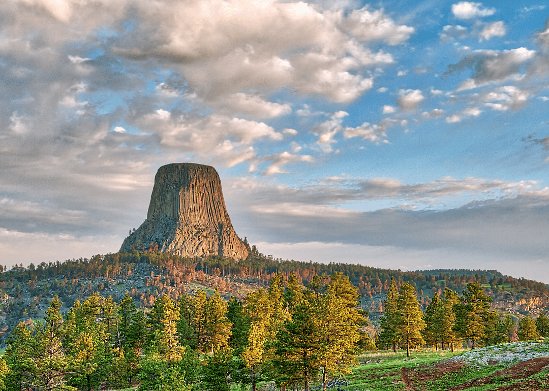 #38. Wyoming