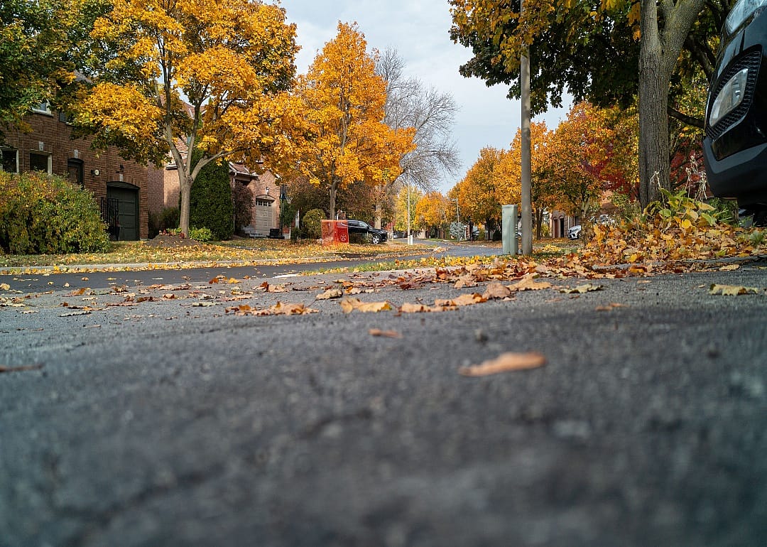 A residential street in Fall.