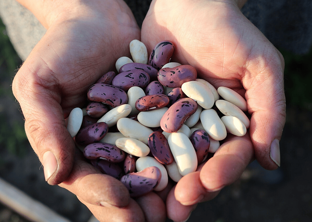 Full of beans