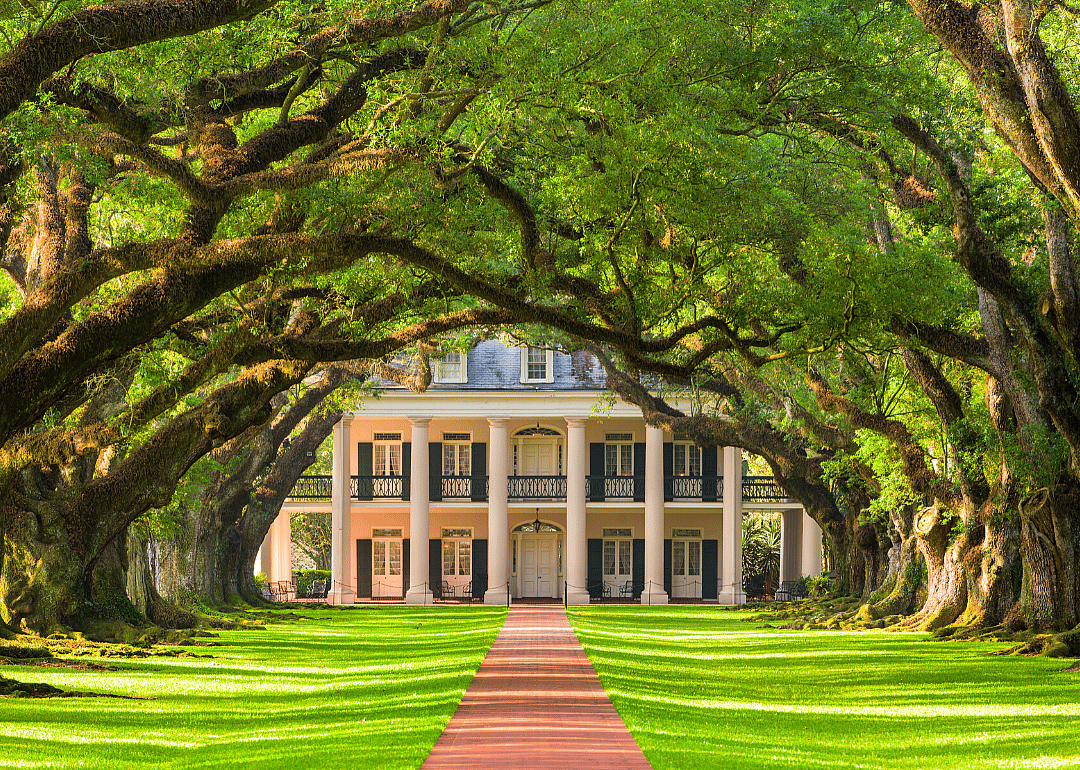 Living in high cotton