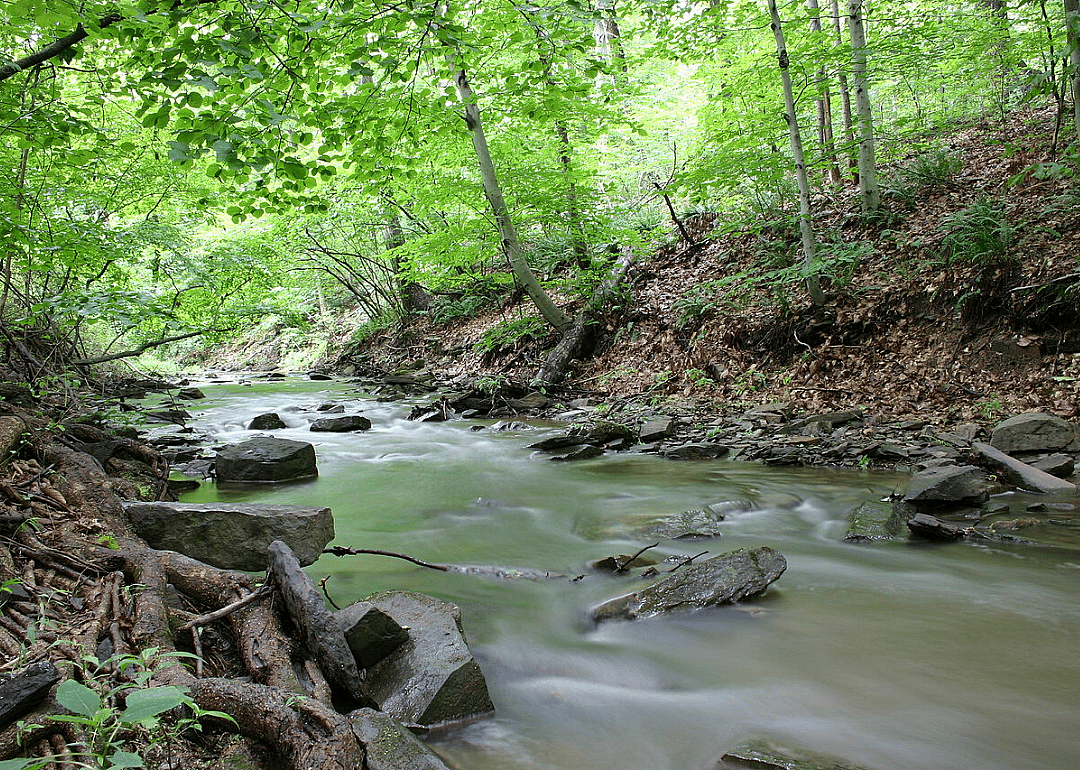 If the creek don't rise