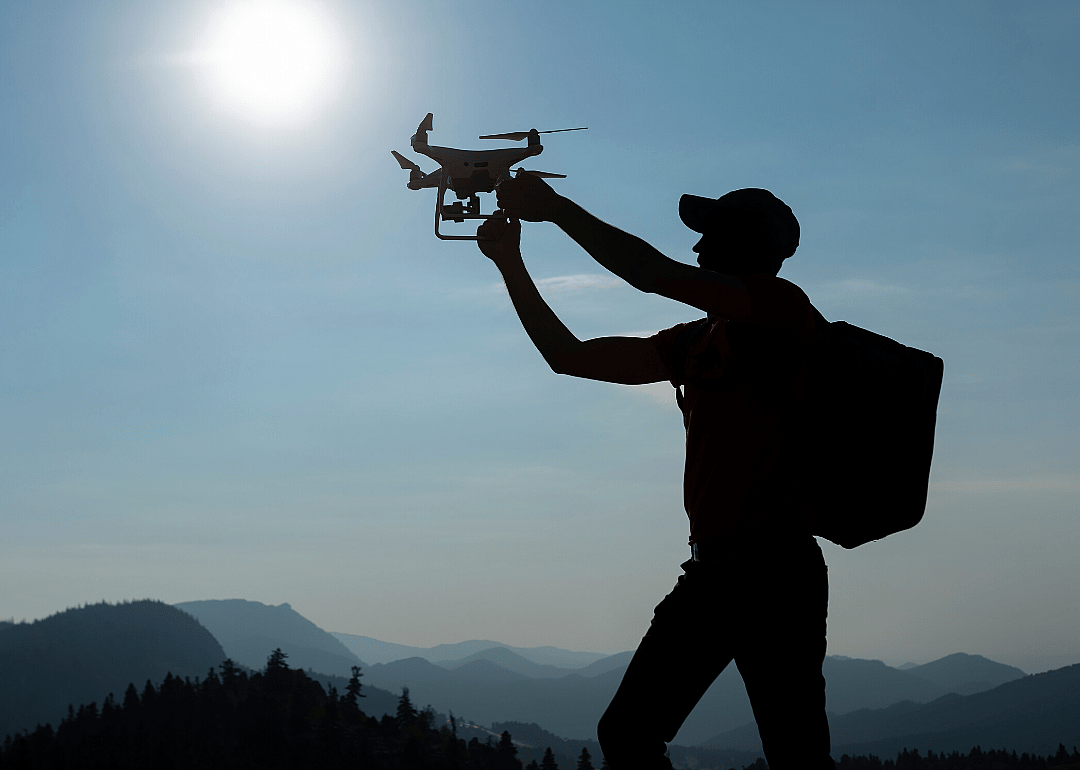 Consumer drones
