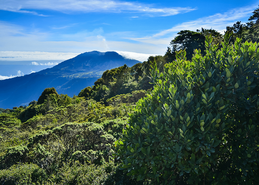 Answer #10: What is Costa Rica?