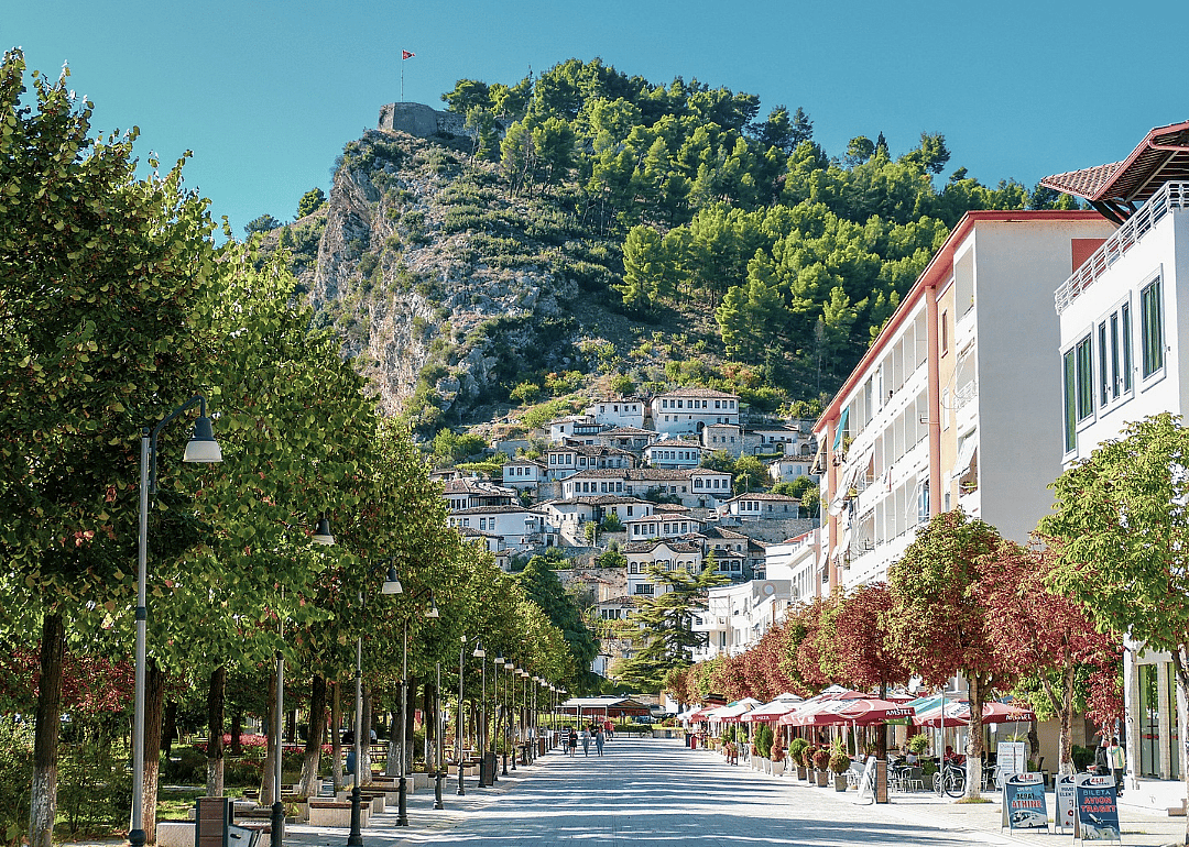 Answer #15: What is Albania?