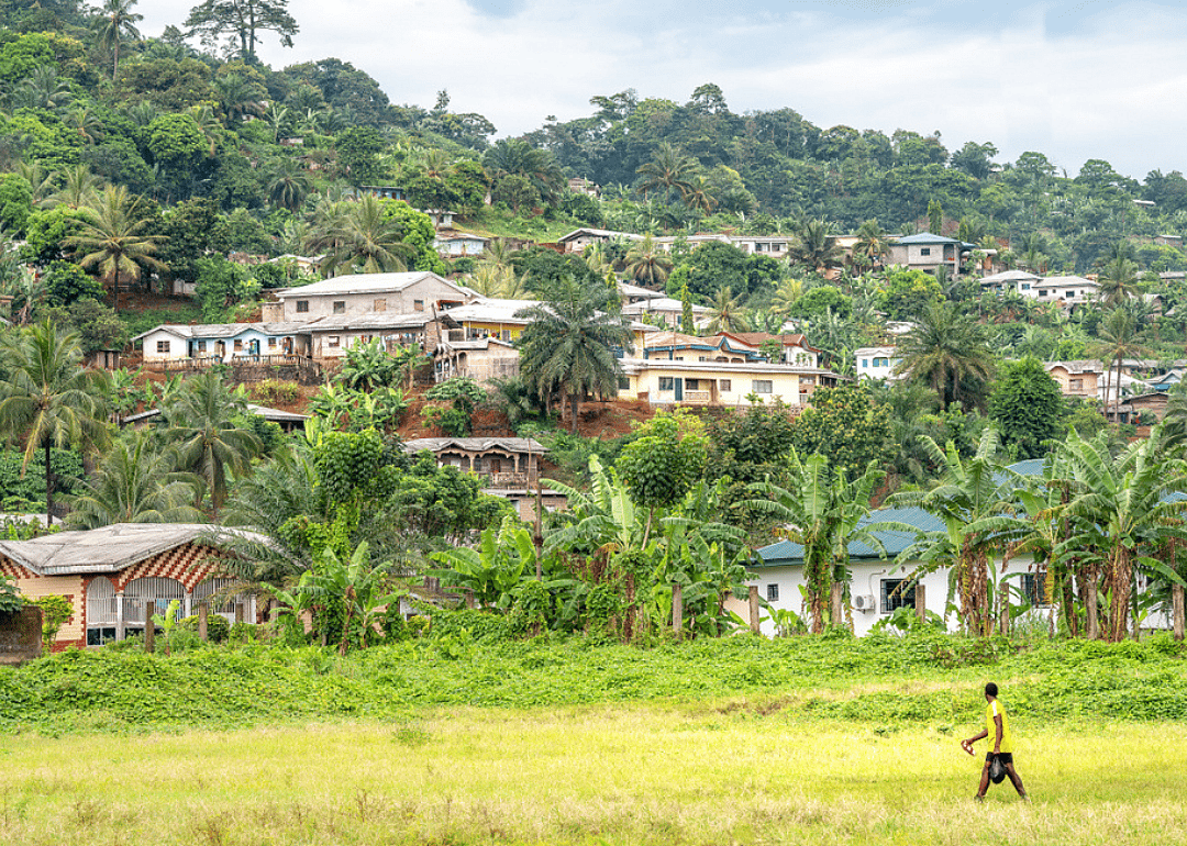 Answer #22: What is Cameroon?