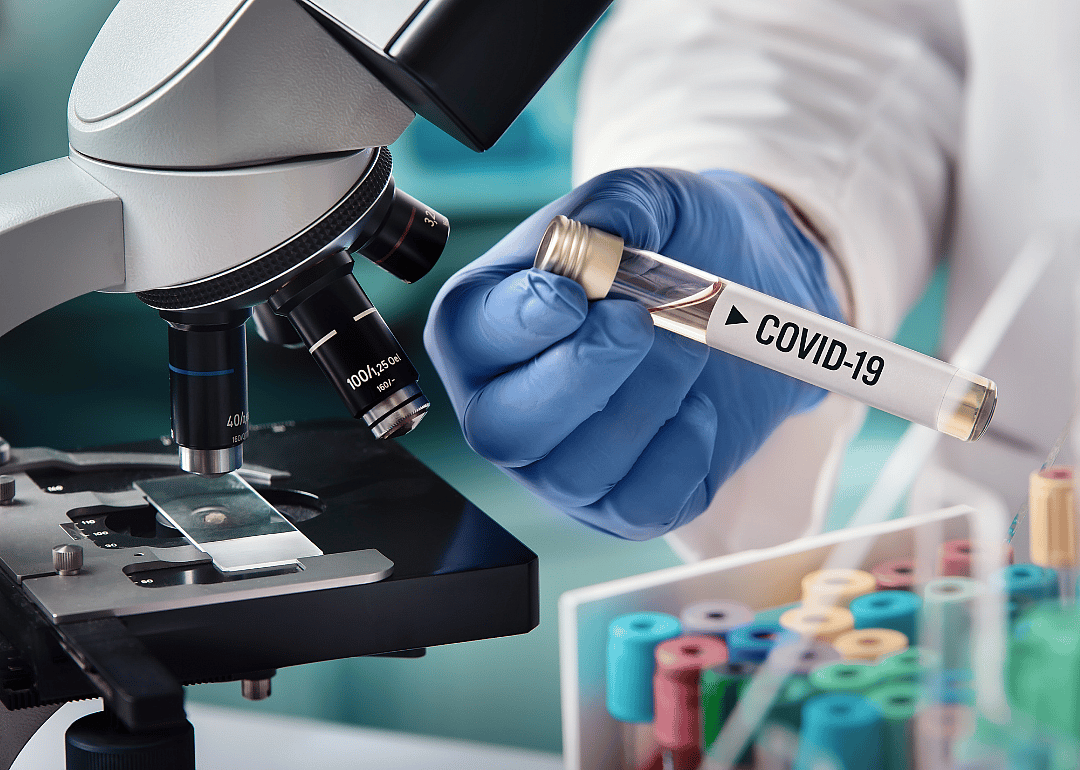 Only one major strain of the coronavirus has been identified