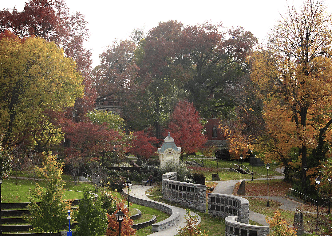 #97. Berea College