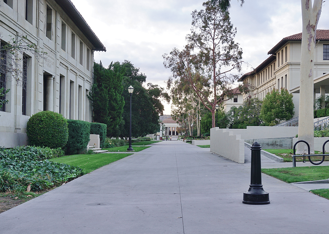 #38. Occidental College
