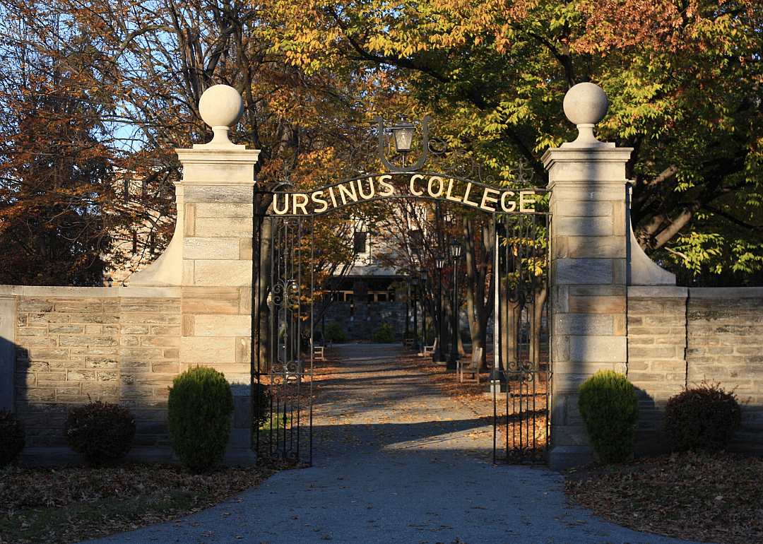 #93. Ursinus College