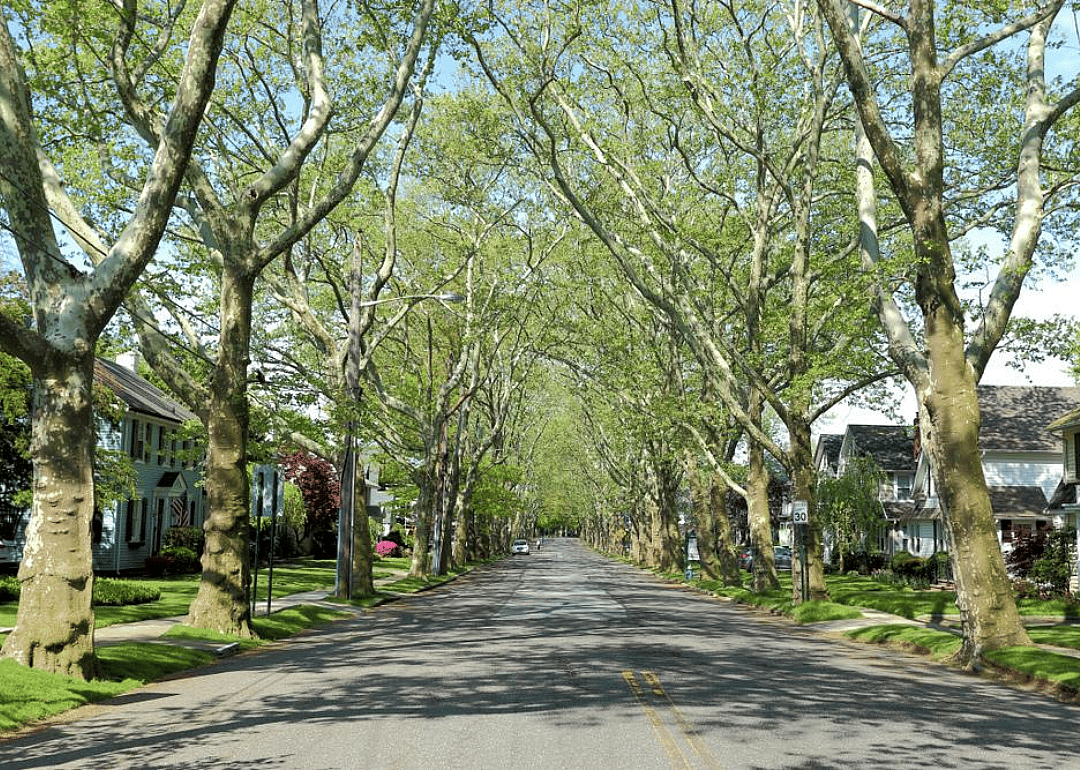 #25. University Gardens, New York