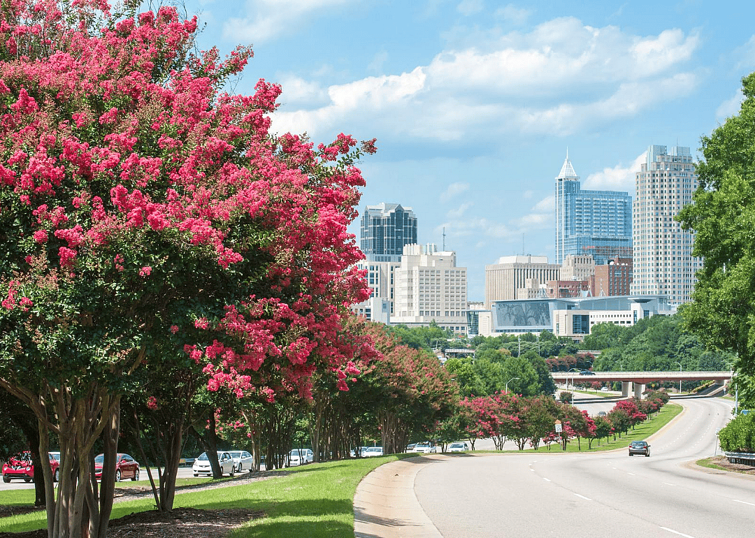 #82. Raleigh, North Carolina