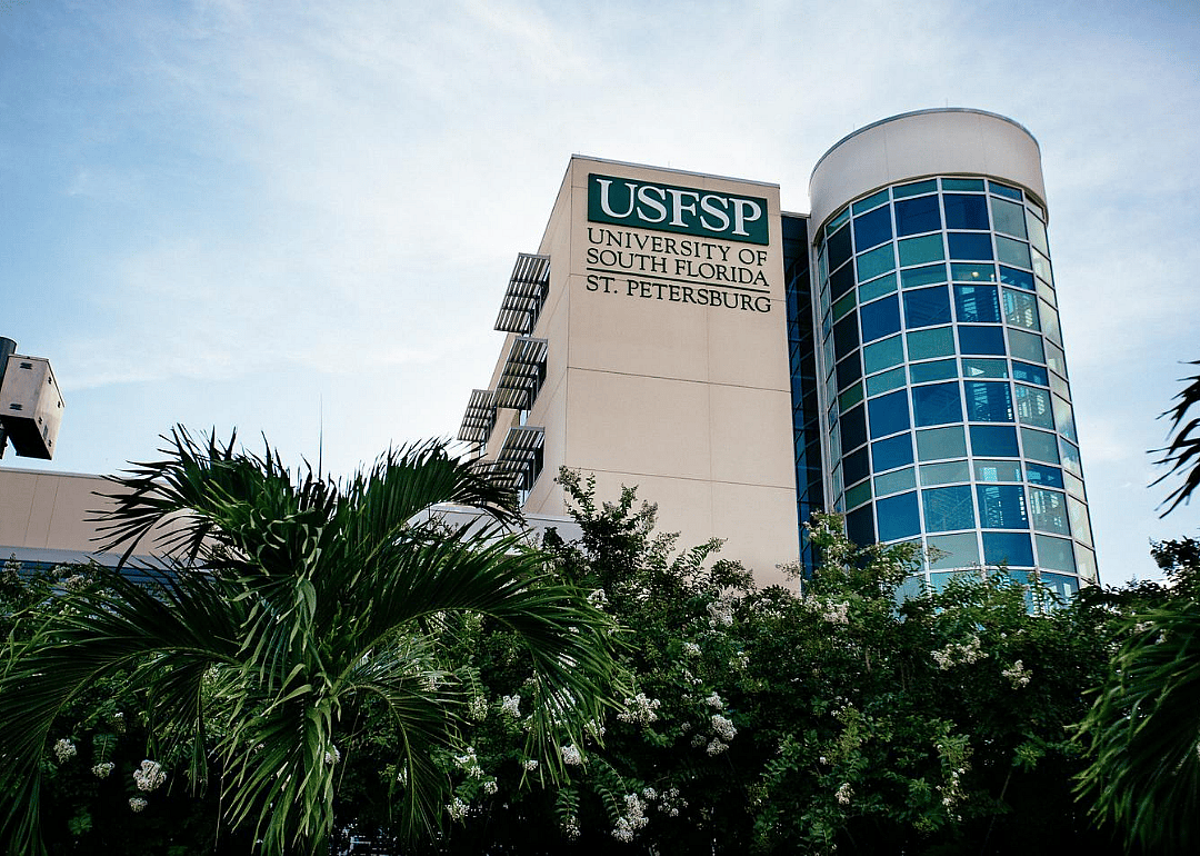 #20. University of South Florida - St. Petersburg (tie)