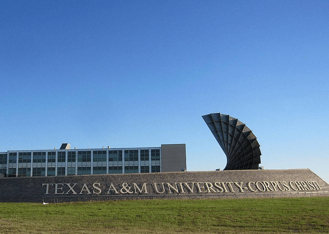 #19. Texas A&M University-Corpus Christi