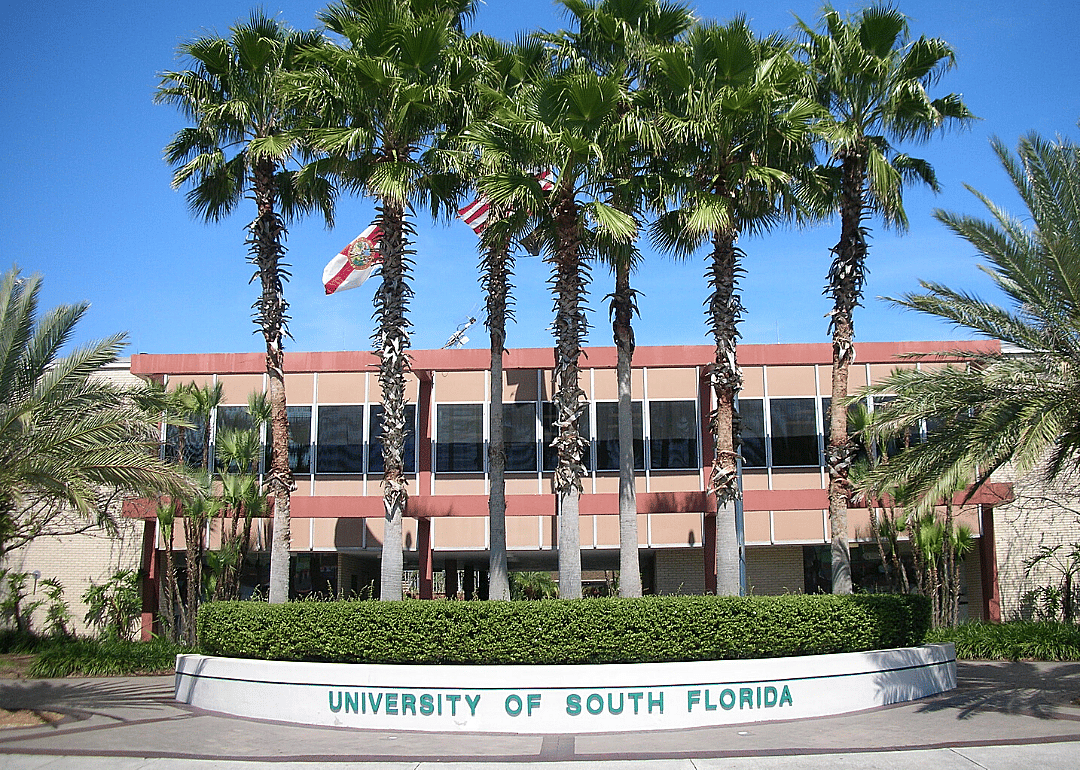 #14. University of South Florida (tie)
