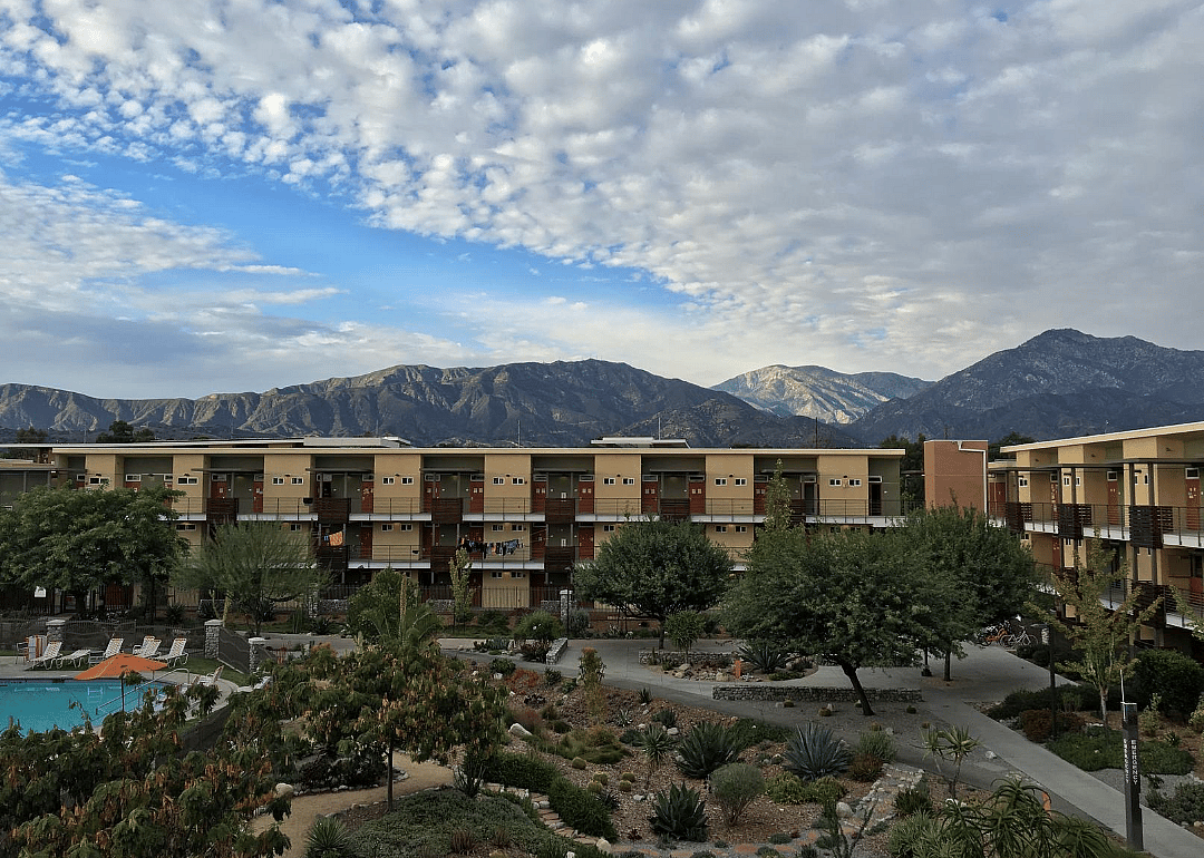 #46. Pitzer College (tie)