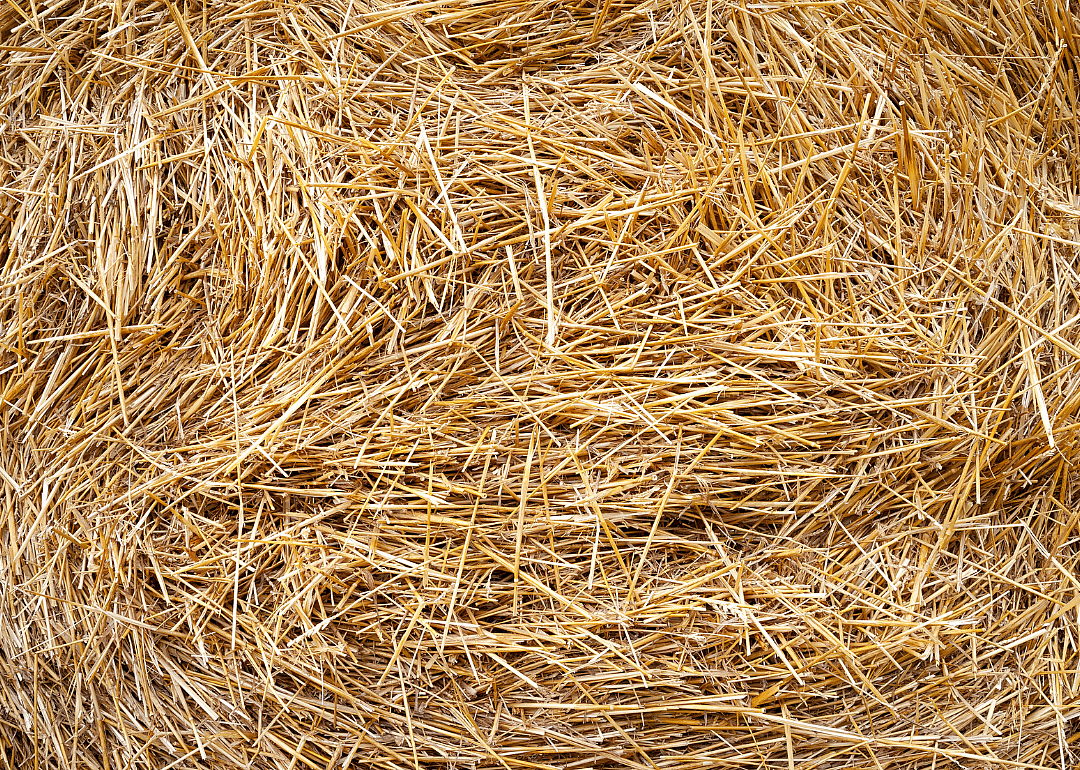 #1. Hay and haylage