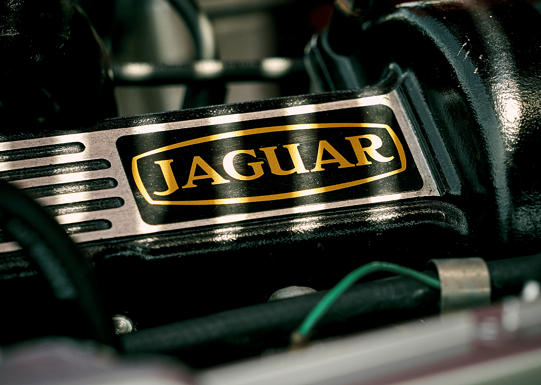 Answer #22: What is Jaguar?