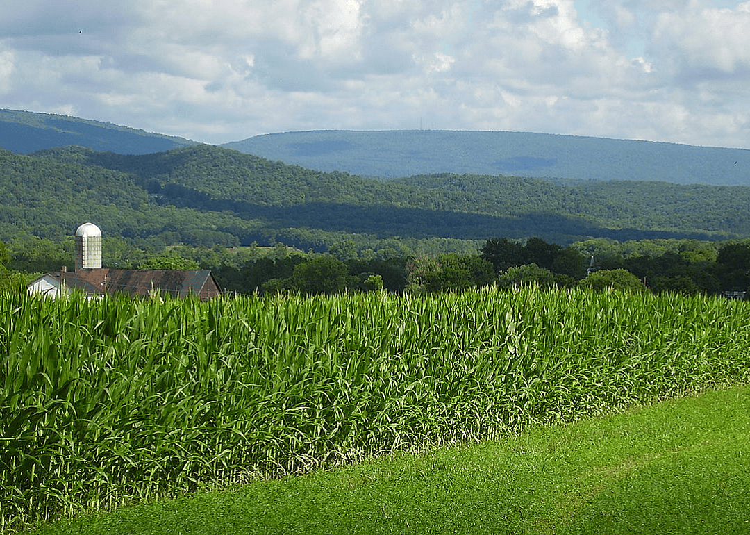 #27. Pennsylvania's 13th Congressional District