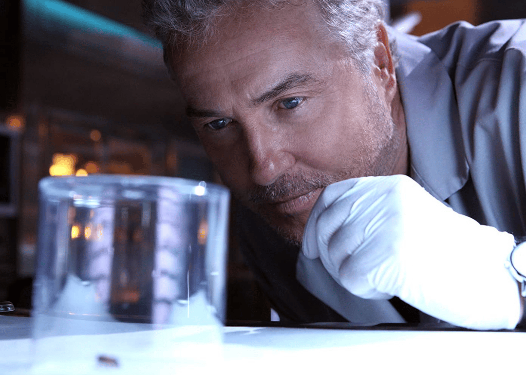 #17. CSI: Crime Scene Investigation (2000-2015) (tie)
