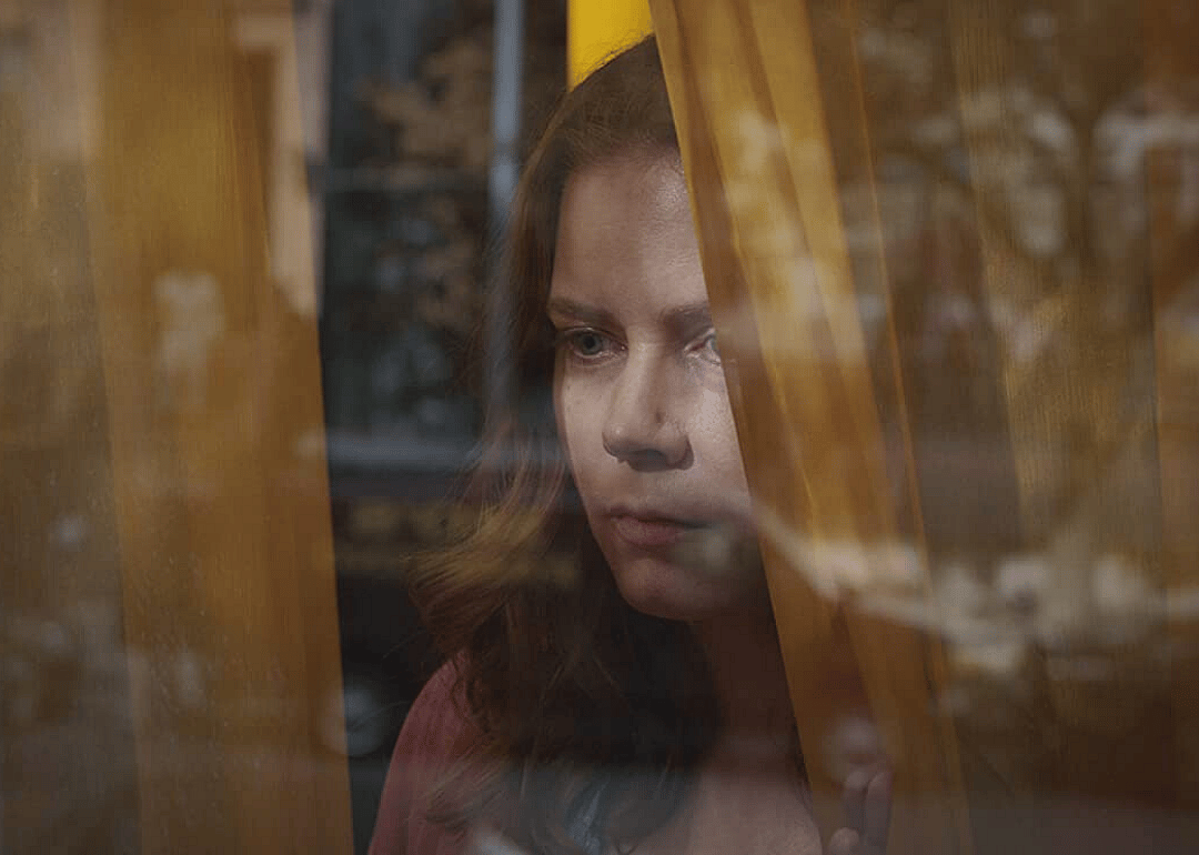 The Woman in the Window