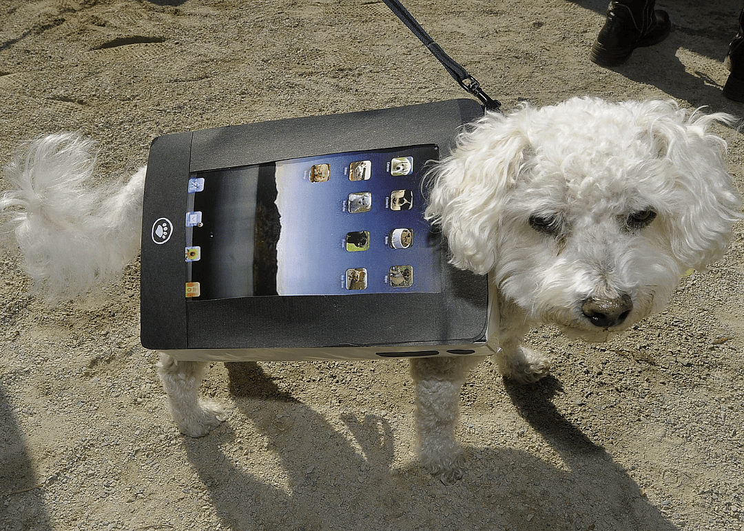 An iPad