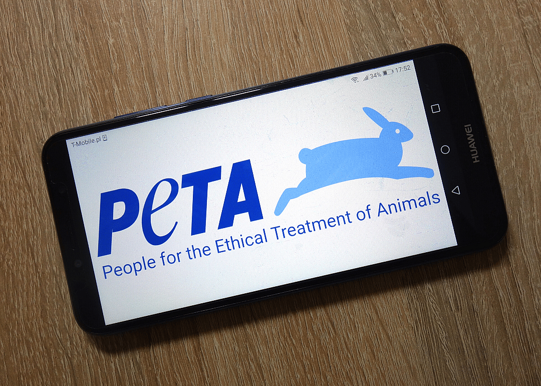 People for the Ethical Treatment of Animals v. Doughney