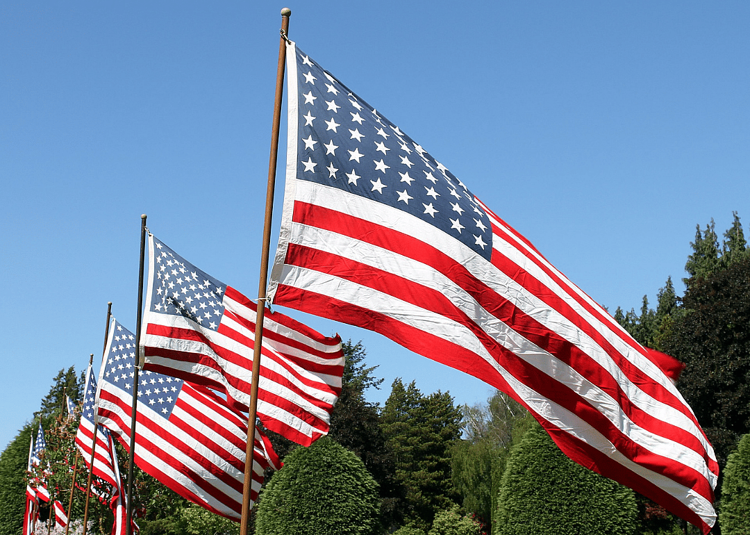 Answer #7: What is Flag Day?