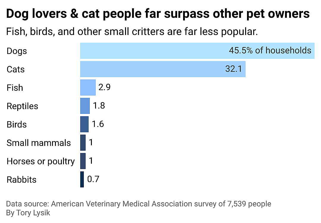 A bar chart showing that dogs are far more popular than other pets.