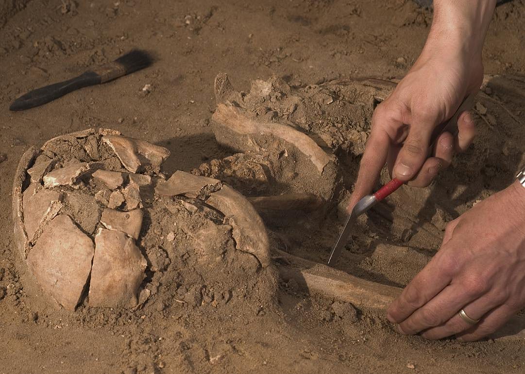 #44. Anthropology & archeology