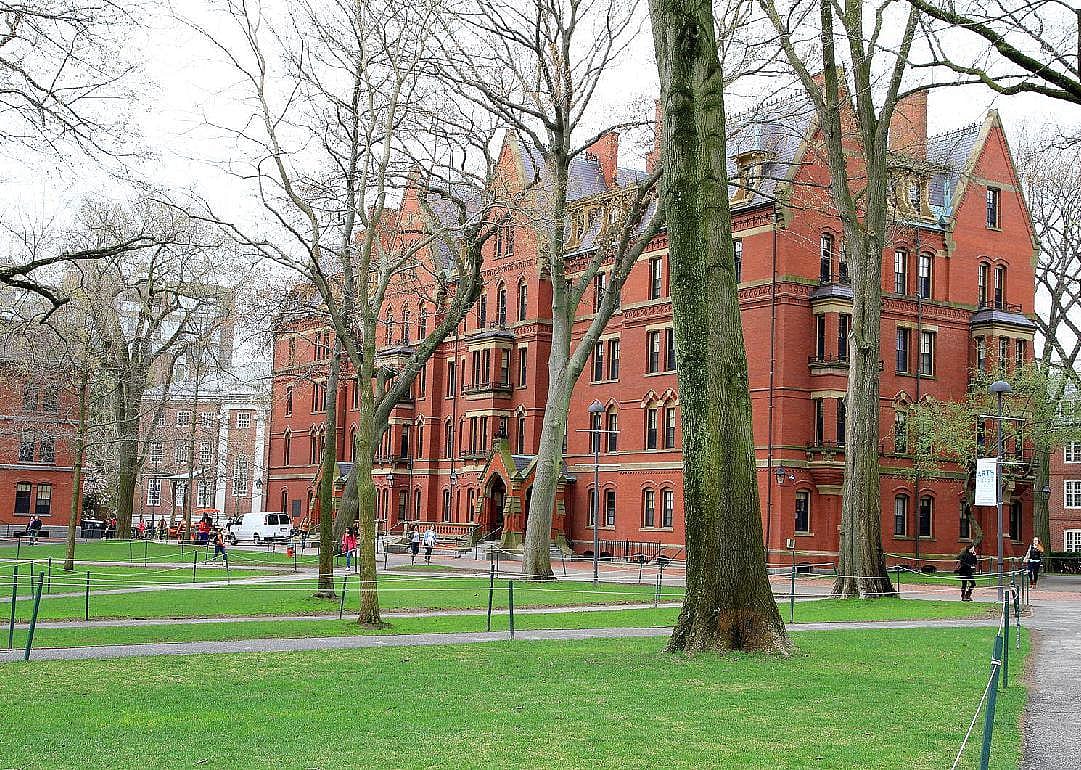 #46. Harvard University