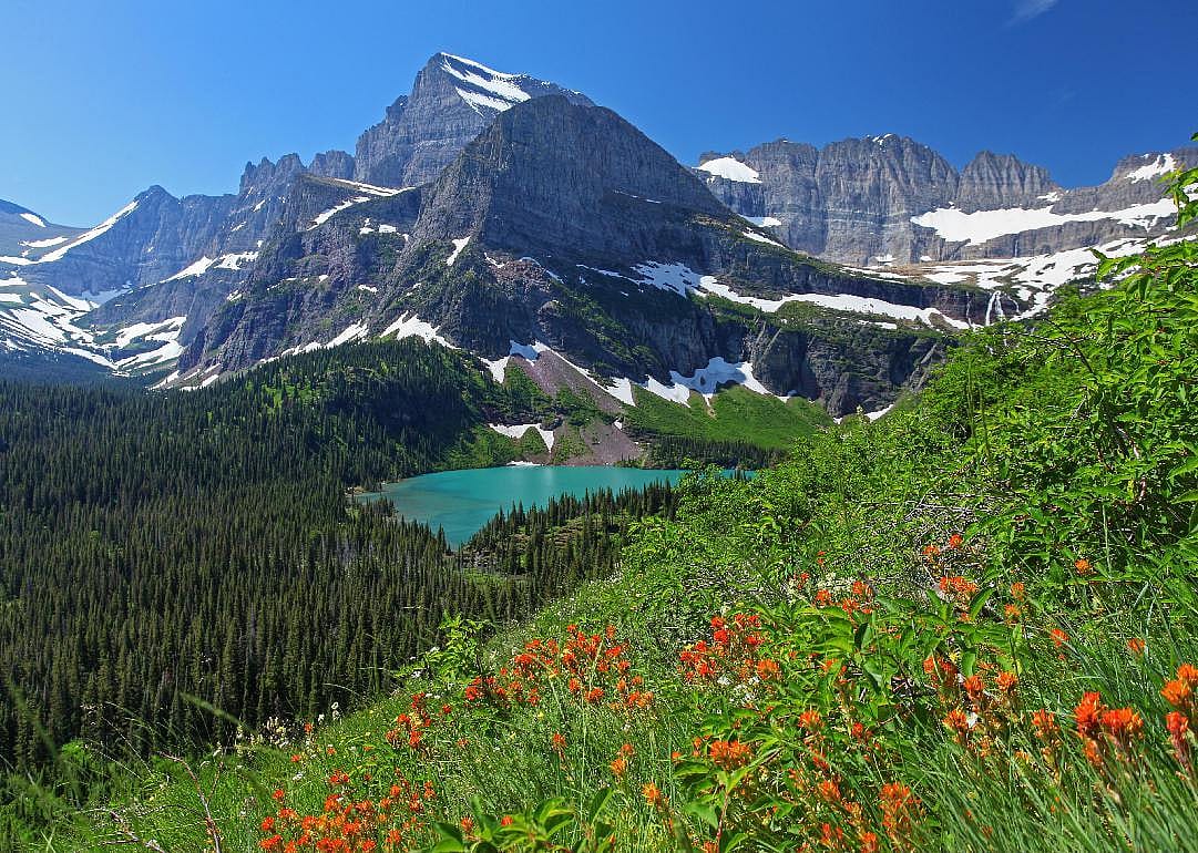 Clue: Montana