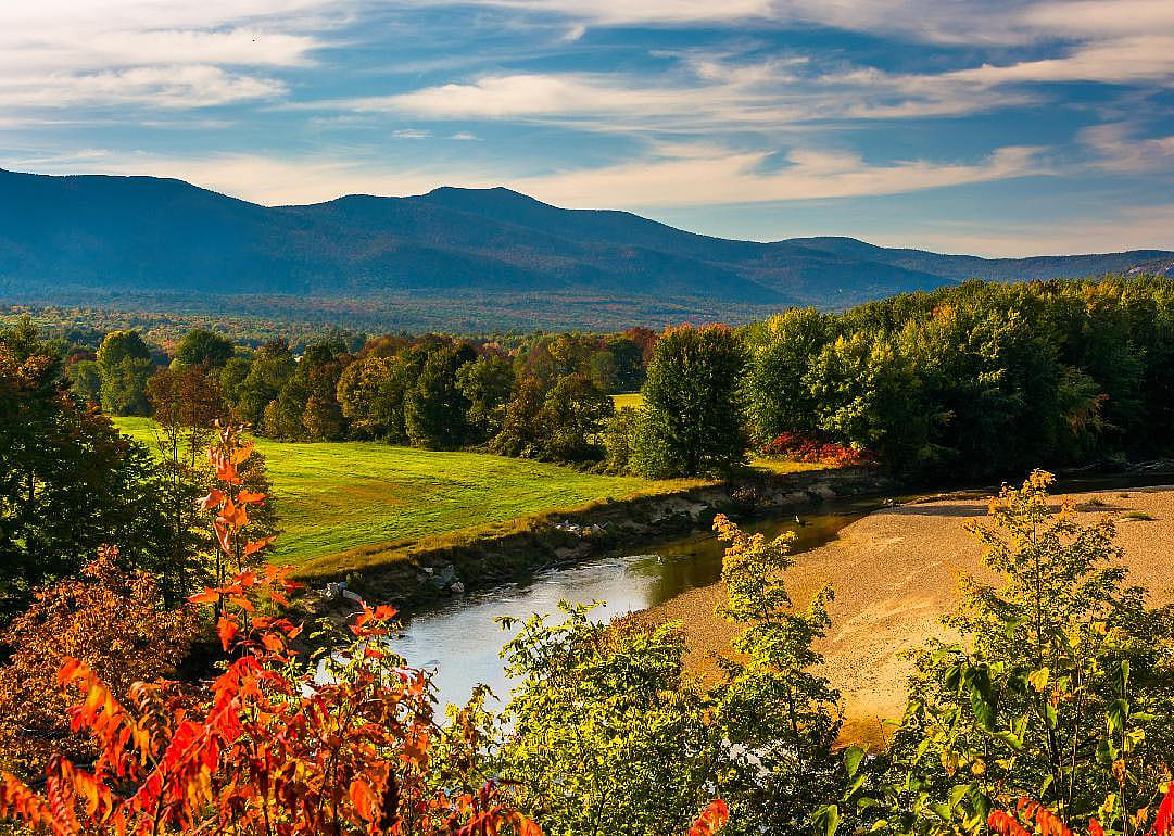Clue: New Hampshire state mammal