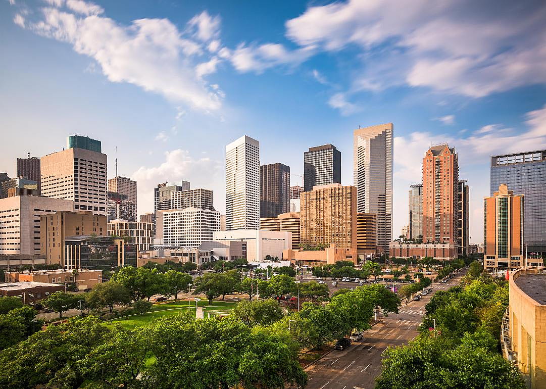 #29. Texas