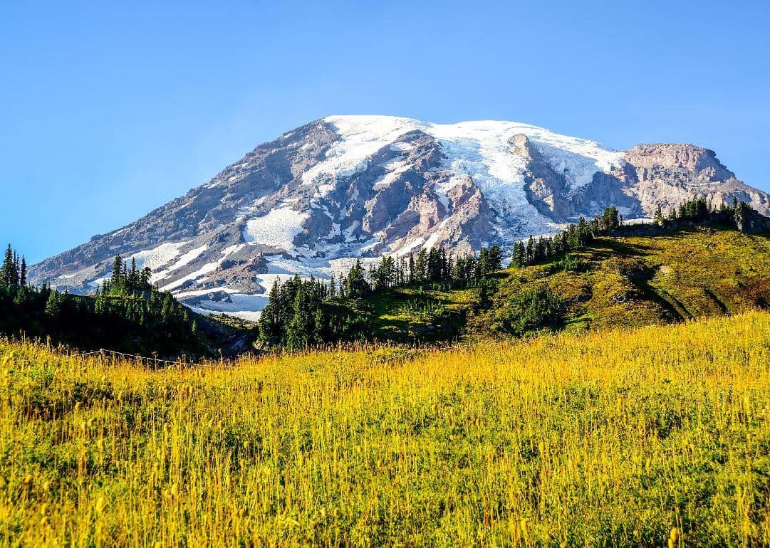 #23. Washington