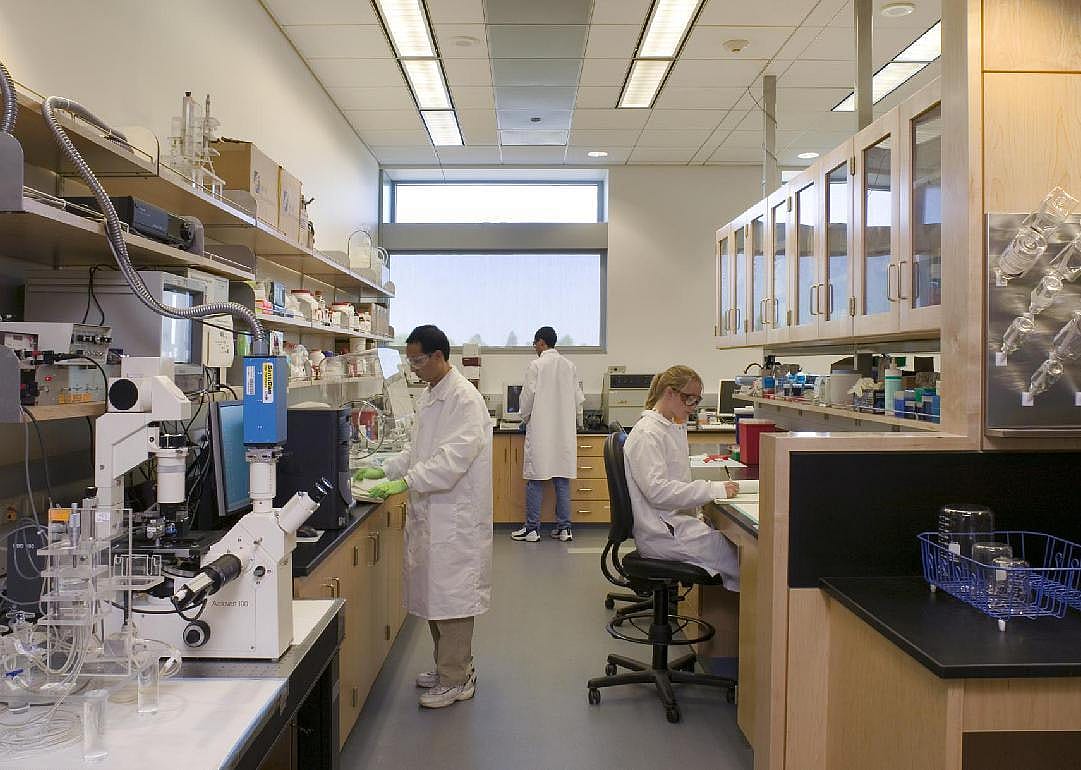 #88. Biomedical engineering