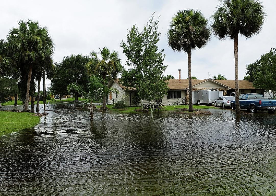 #1. Florida
