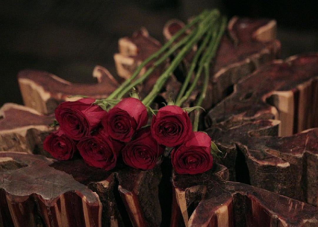 2002: “The Bachelor” debuts