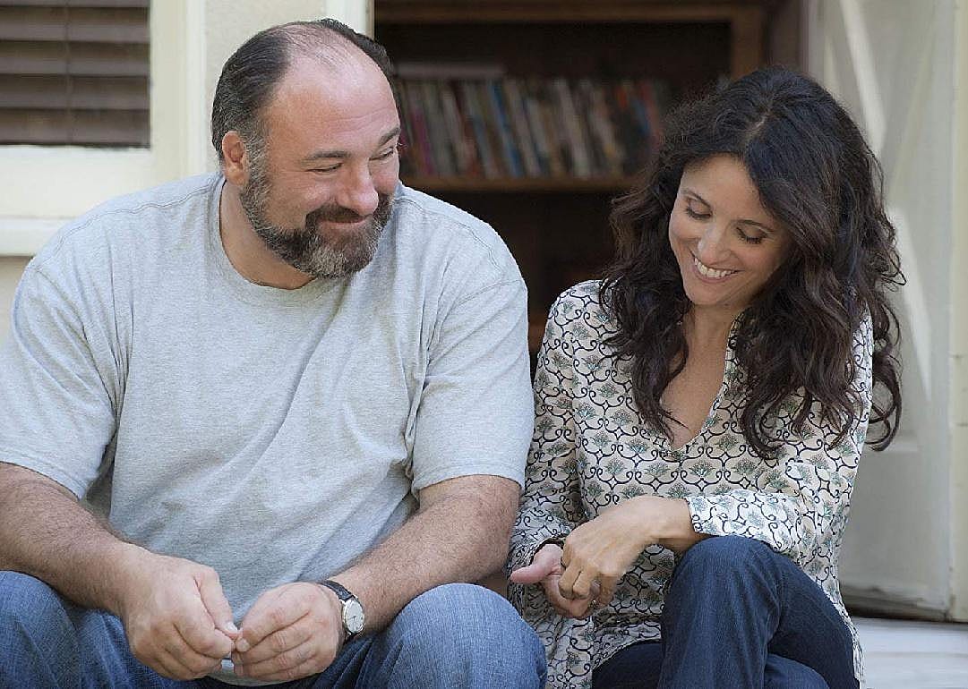 #35. Enough Said (2013)