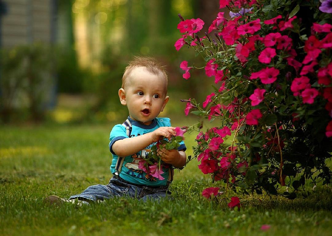 #1. Noah (for boys)