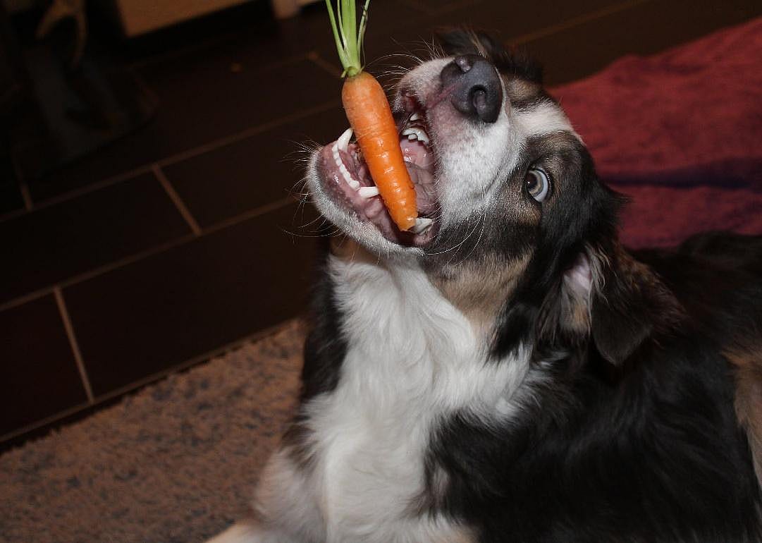 Yes: Carrots