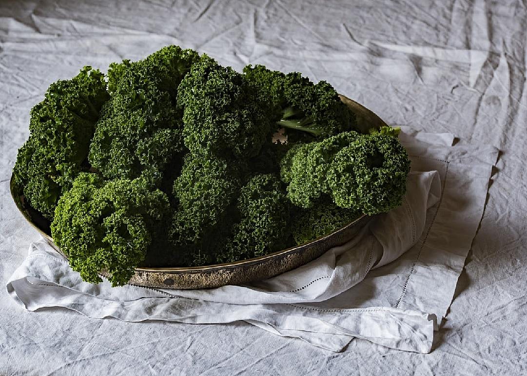 Yes: Broccoli