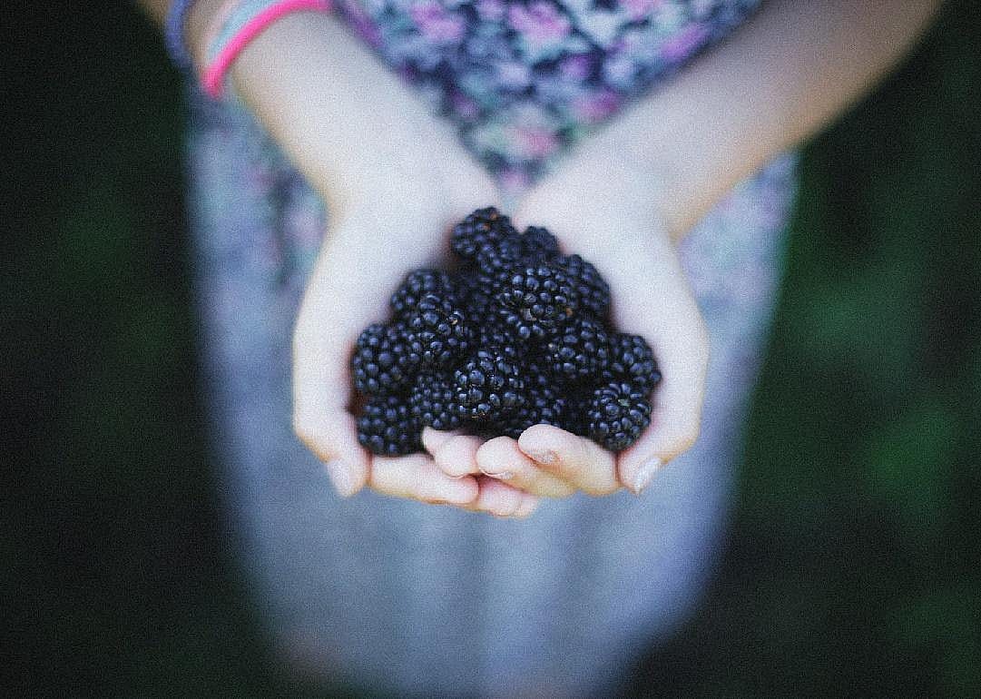 Yes: Blackberries