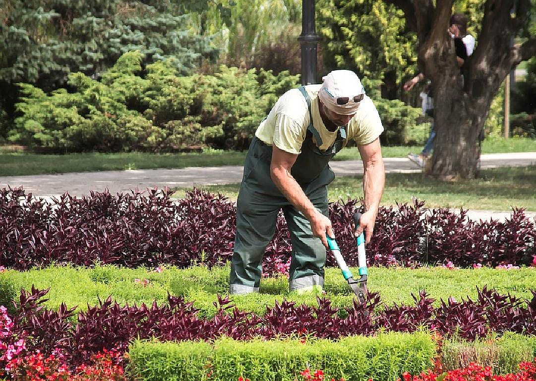 Gardener/landscaper