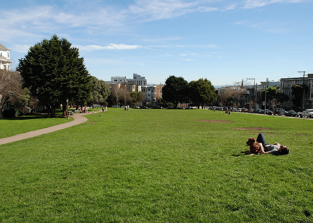 #5. Duboce Park