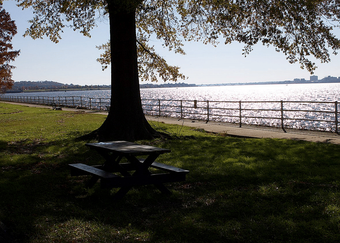 #9. Hains Point
