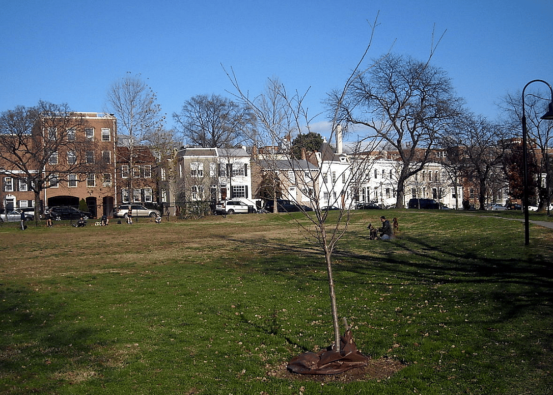 #8. Rose Park