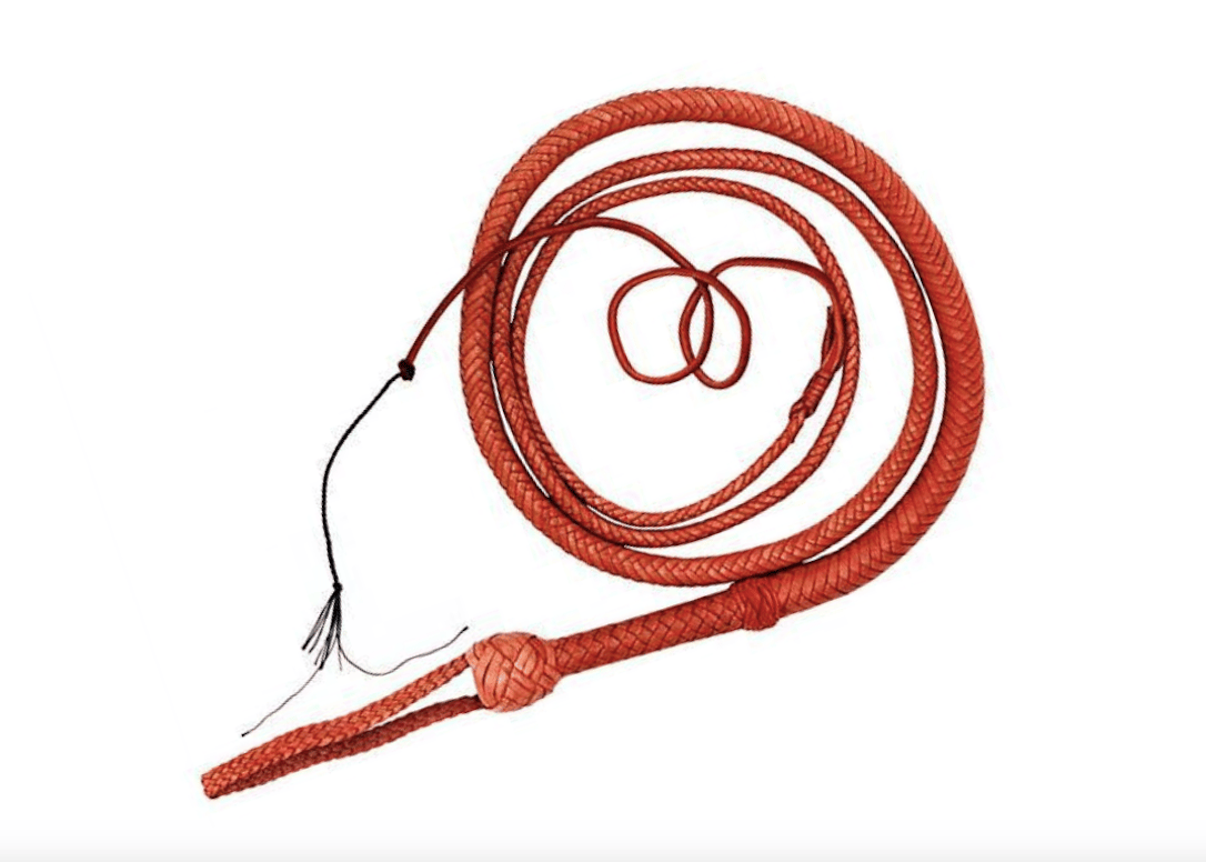 Answer #17: What is a whip?