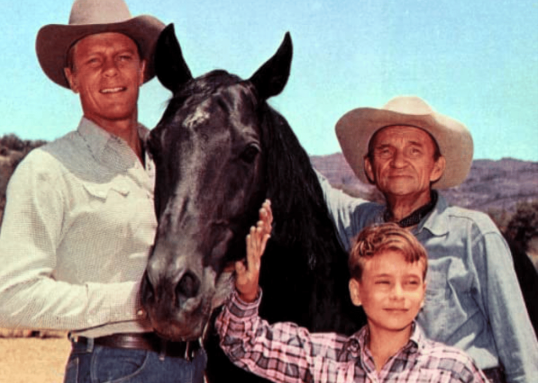 #23. Fury