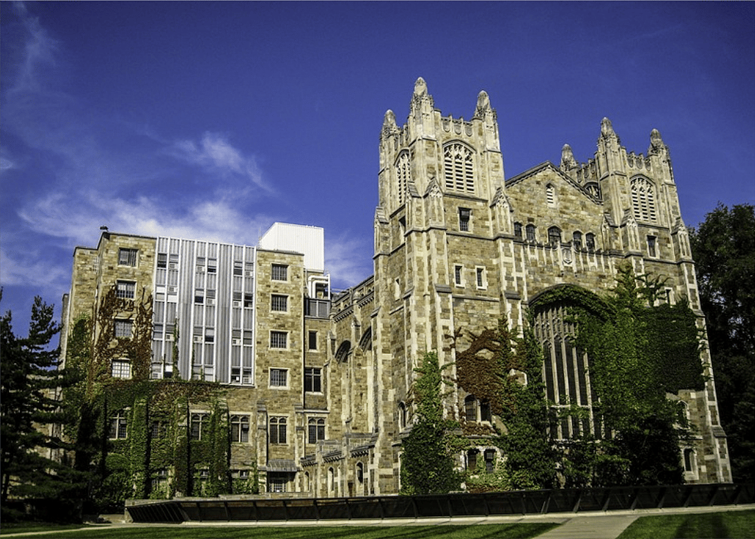 #31. University of Michigan - Ann Arbor